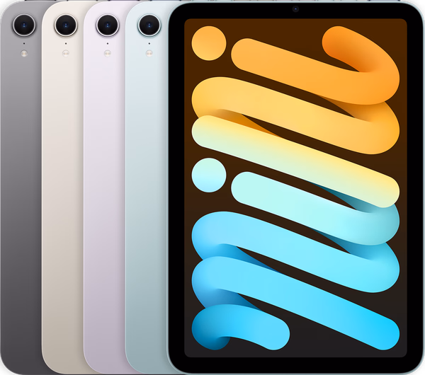 Apple iPad mini (A17 Pro) (A2993, A2995)